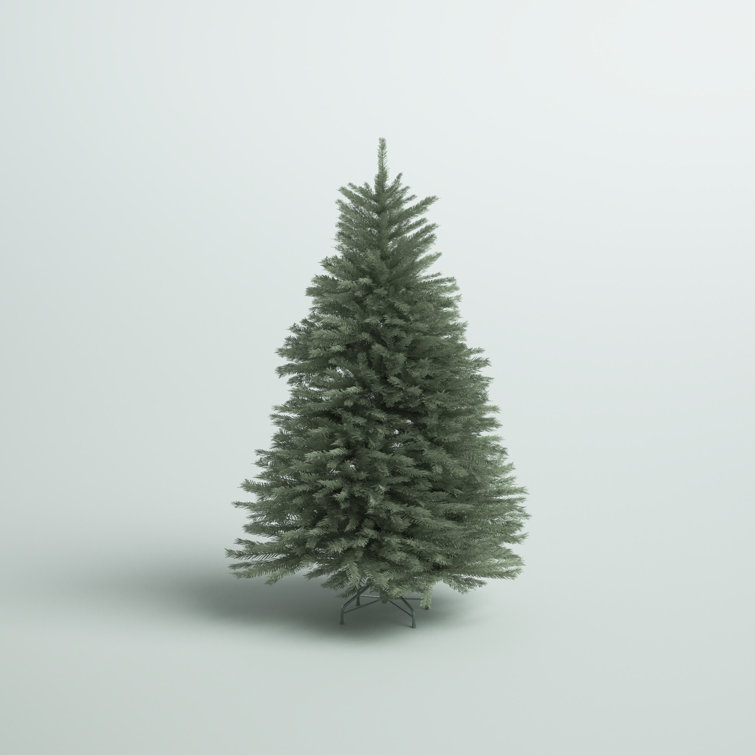 6ft Zabel Blue Fir Christmas Tree with Clear/White Lights